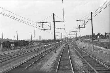 Muizen - BD-0246.jpg